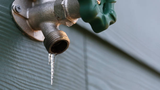 Best Commercial Plumbing Services  in Pocono Woodland Lakes, PA